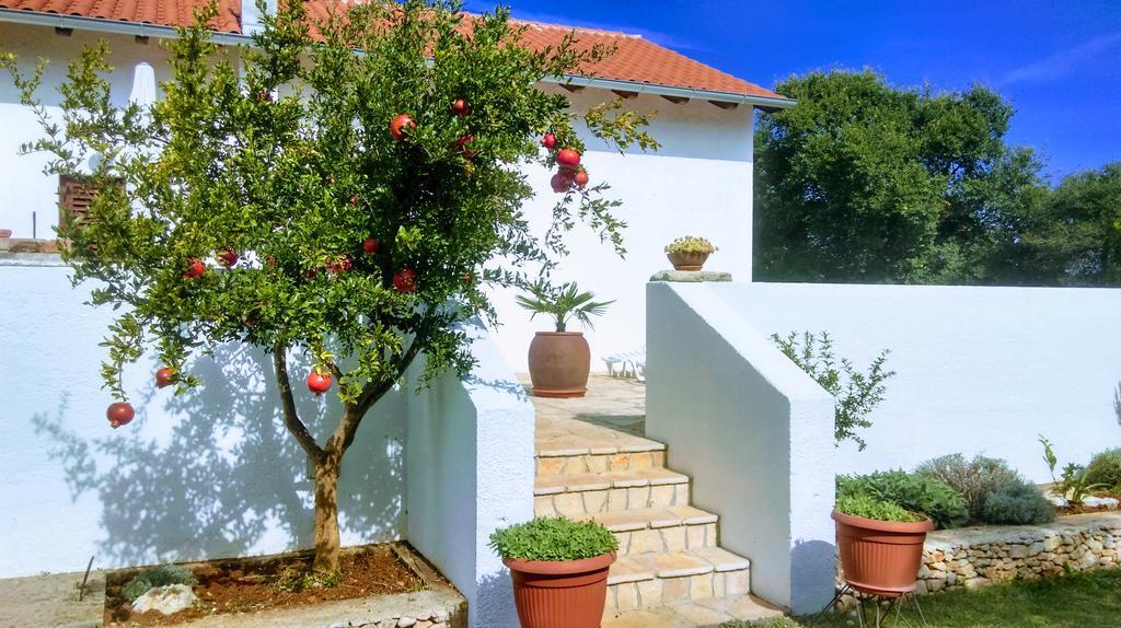 House Soni - 800 M From The Sea Villa Rovinj Kültér fotó